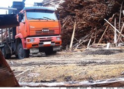 Пойман с поличным: фотоловушка помогла выявить незаконный сброс отходов в лесу Пойман с поличным: фотоловушка помогла выявить незаконный сброс отходов в лесу