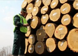 Приговор за контрабанду пиломатериалов Приговор за контрабанду пиломатериалов
